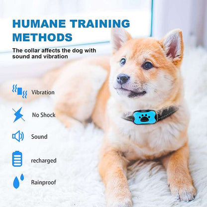 Minimalist Adjustable Dog Training Collar