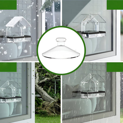 Acrylic Minimalist Suction-Cup Window-Mounted Bird Feeder