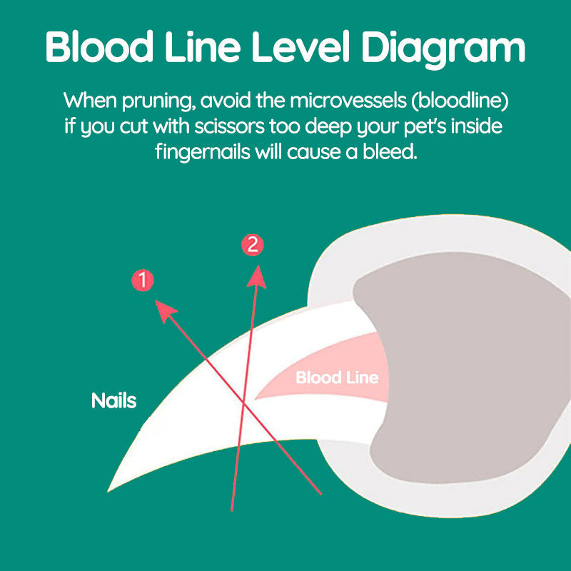 Minimalist LED Safety Guard Pet Nail Clippers
