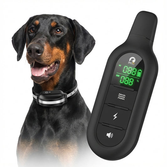 Synthetic Leather Adjustable Dog Training Collar