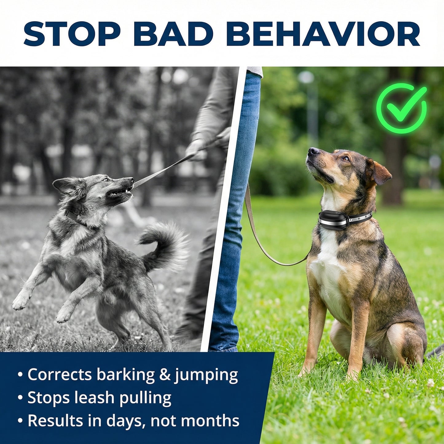 Synthetic Leather Adjustable Dog Training Collar