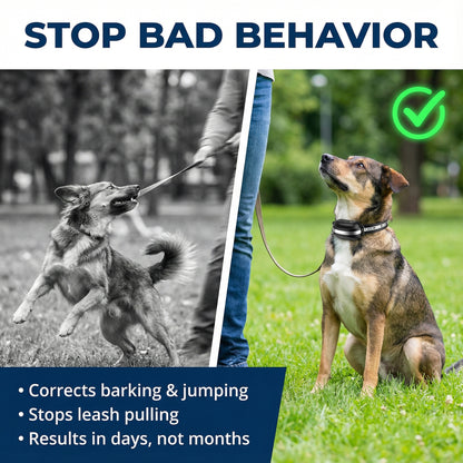 Synthetic Leather Adjustable Dog Training Collar