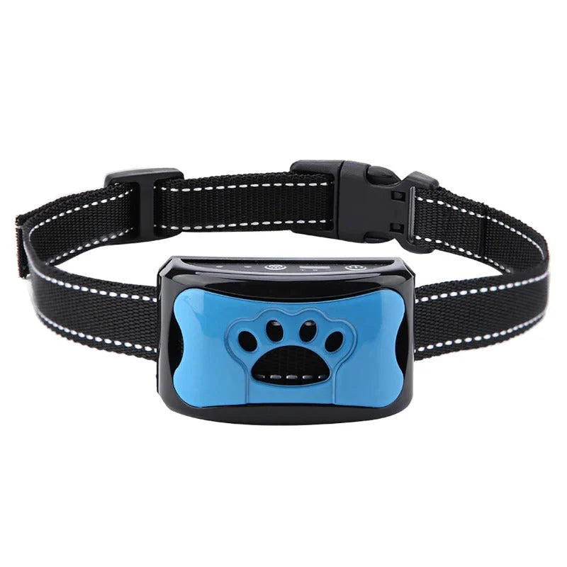 Minimalist Adjustable Dog Training Collar