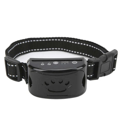 Minimalist Adjustable Dog Training Collar