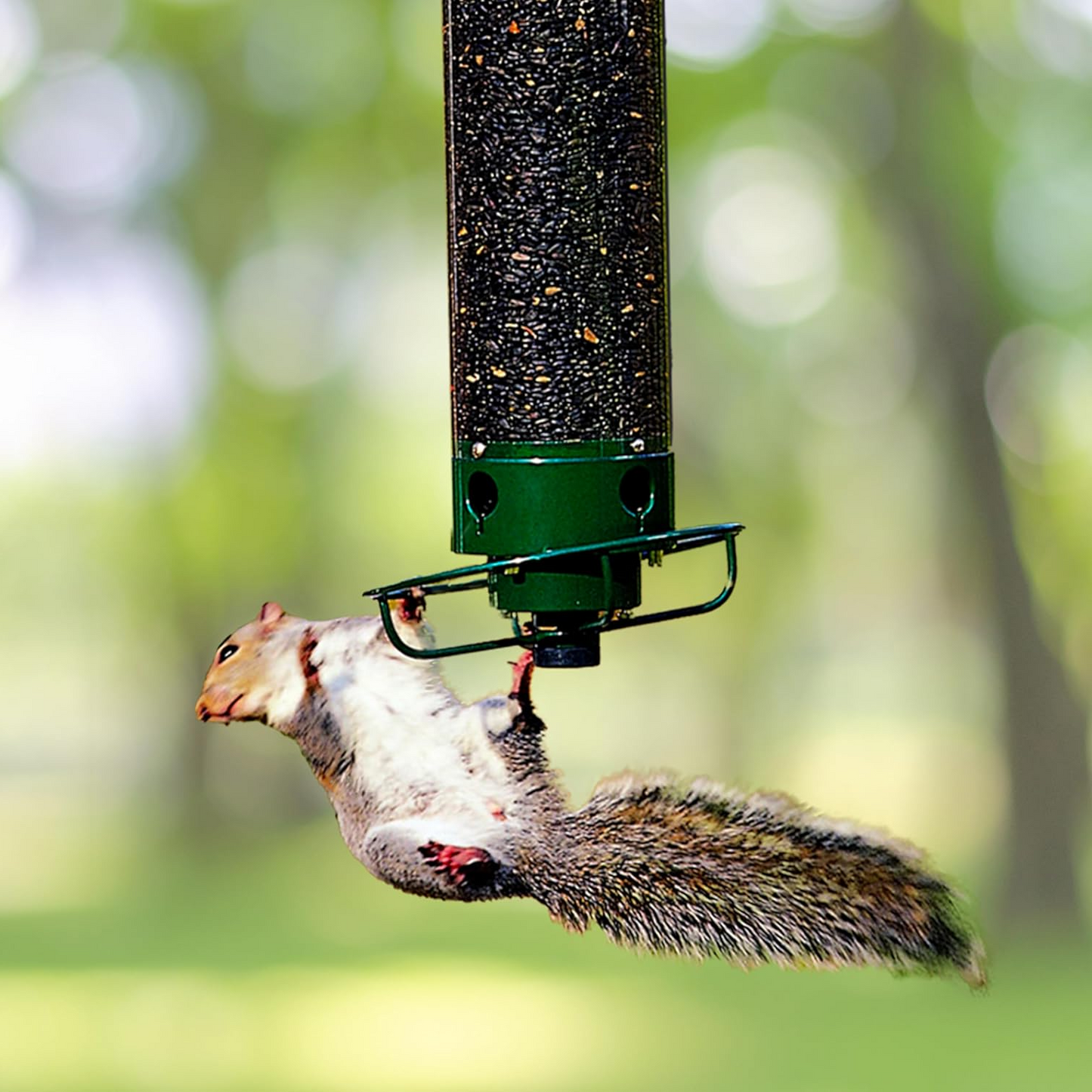 Powder-Coated Metal Multi-Port Tube Bird Feeder
