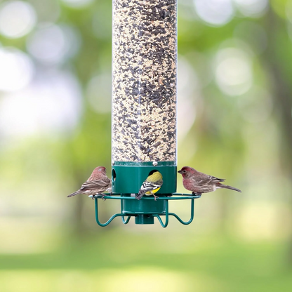 Powder-Coated Metal Multi-Port Tube Bird Feeder
