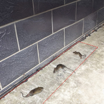 Minimalist Low-Profile Adhesive Glue Board