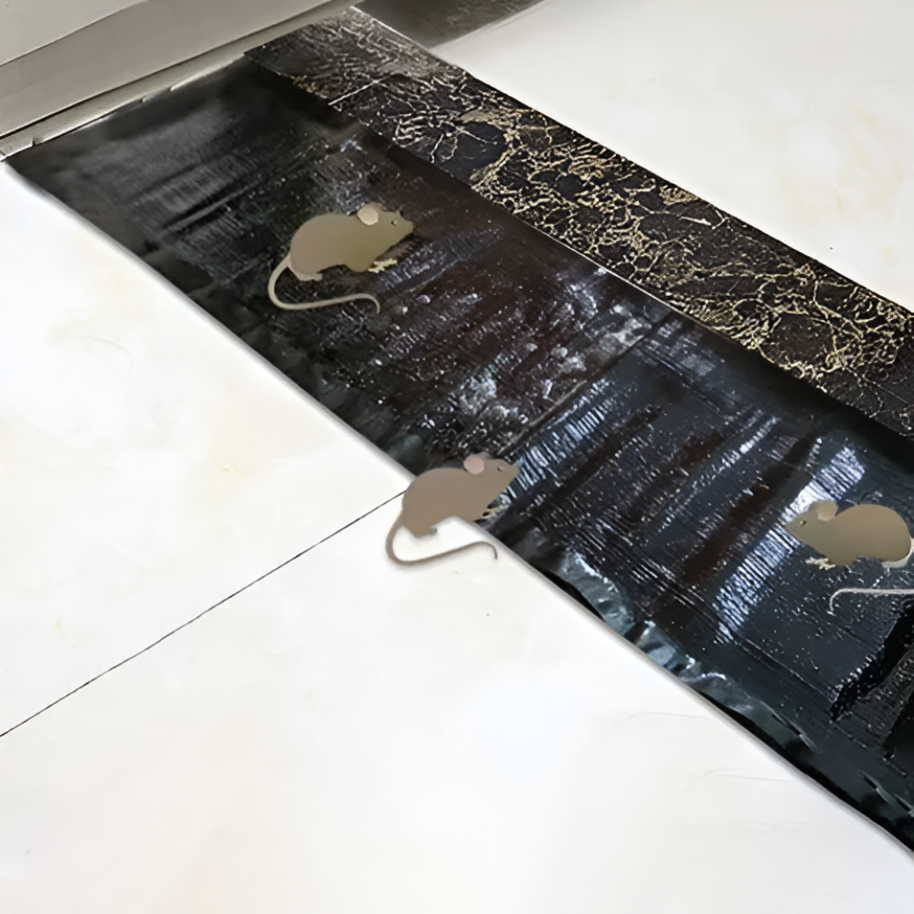 Minimalist Low-Profile Adhesive Glue Board