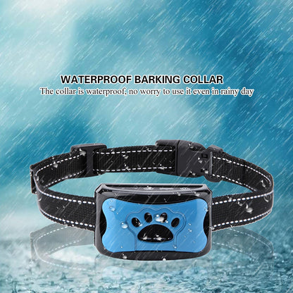 Minimalist Adjustable Dog Training Collar