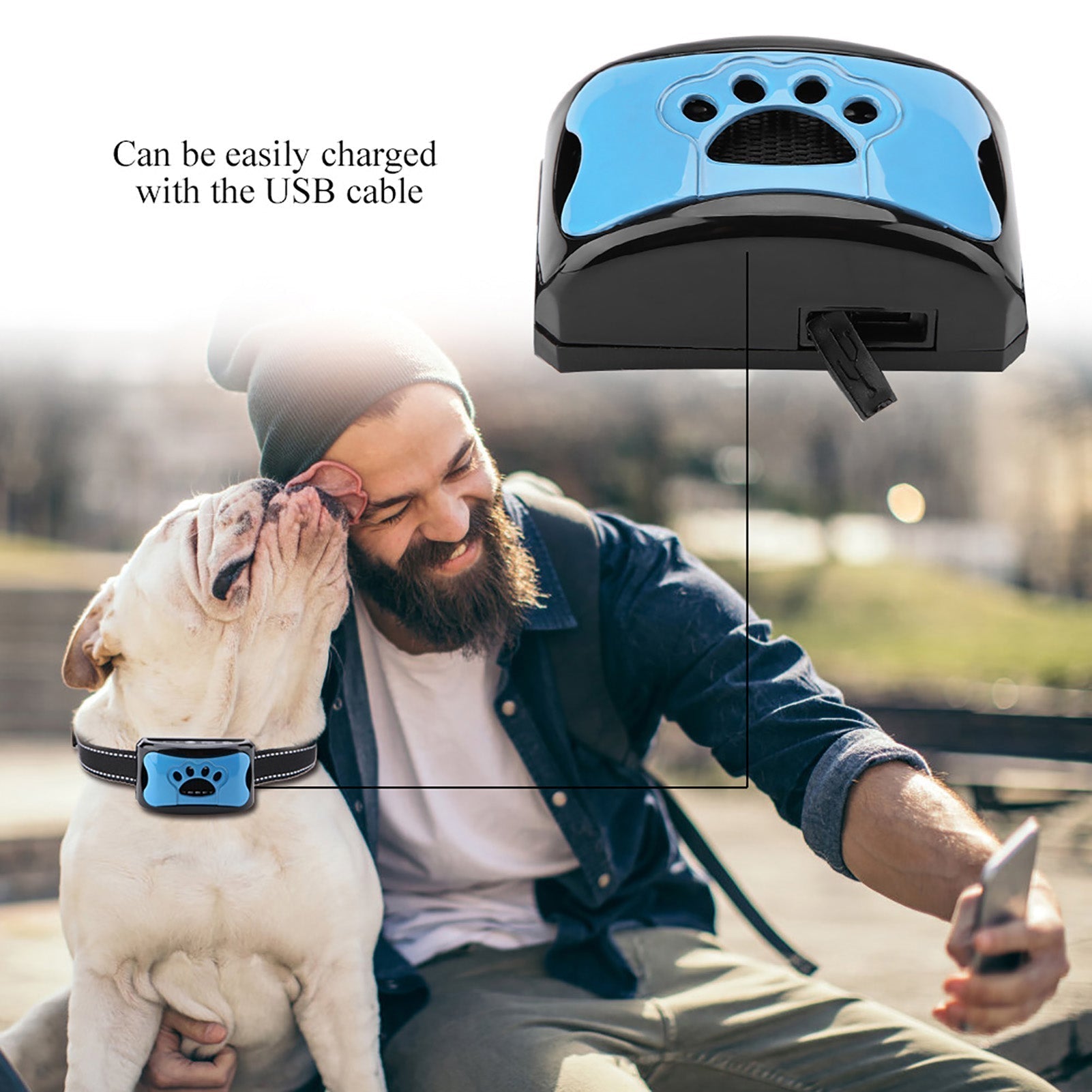 Minimalist Adjustable Dog Training Collar