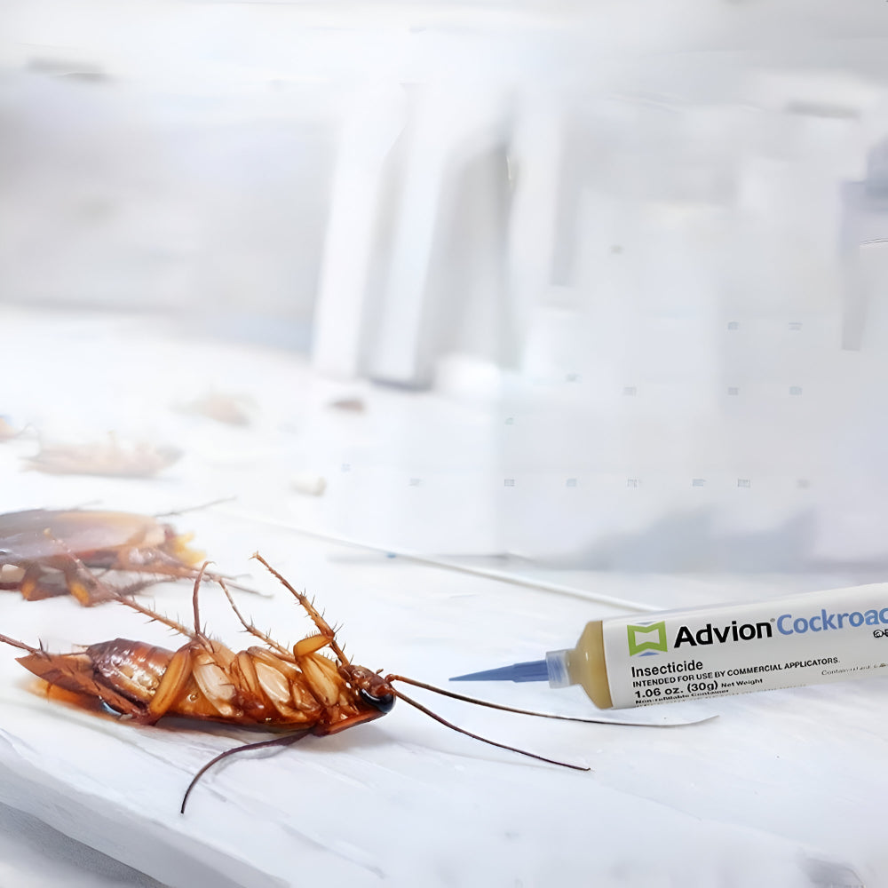 Minimalist Syringe-Style Gel Bait Cartridge