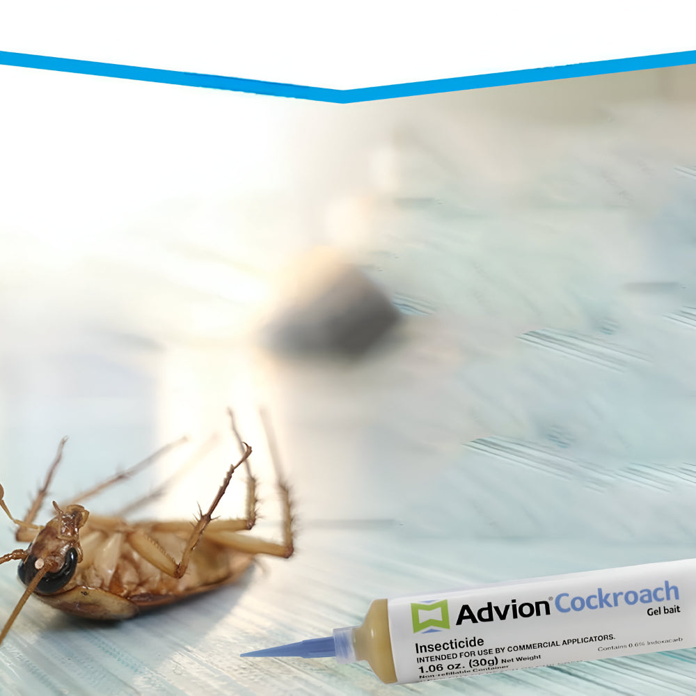 Minimalist Syringe-Style Gel Bait Cartridge