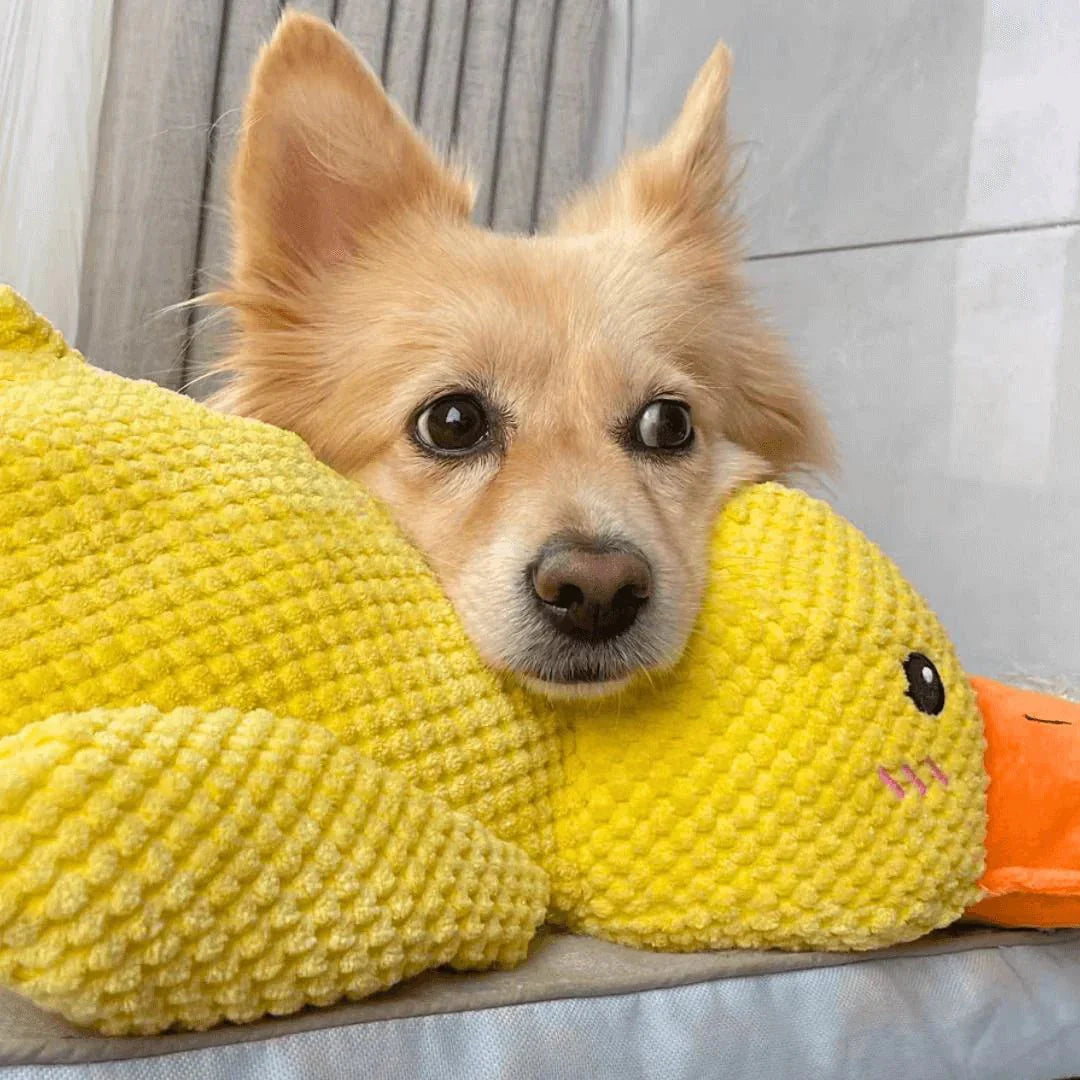 Chenille-Style Chunky Duck Plush Dog Toy