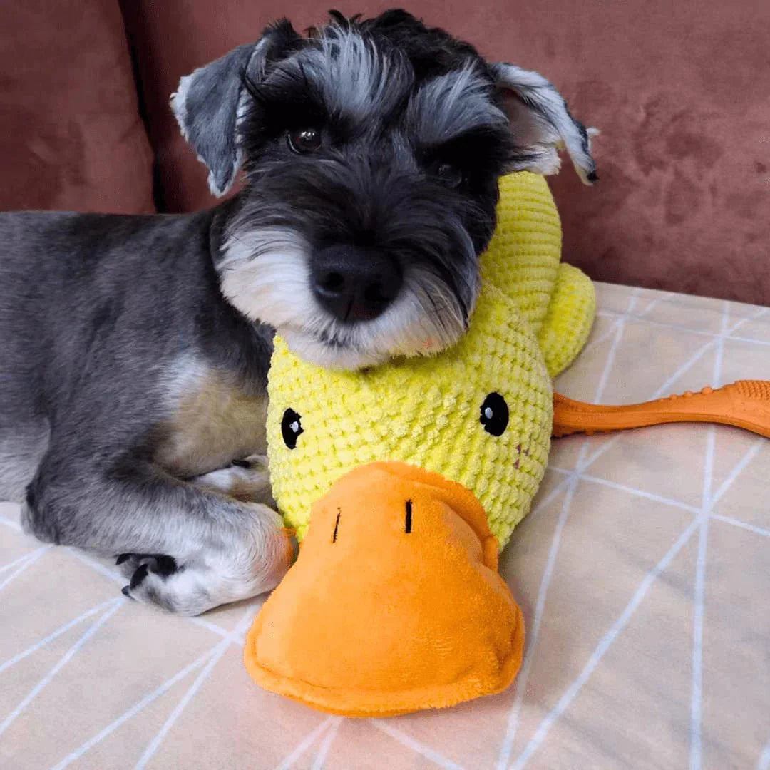 Chenille-Style Chunky Duck Plush Dog Toy